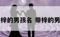 名字带梓的男孩名 带梓的男孩姓名