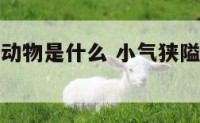 小气狭隘的动物是什么 小气狭隘的动物是什么生肖