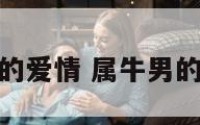 属牛男的爱情 属牛男的爱情观