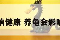 养龟影响健康 养龟会影响运气吗