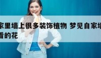 梦到家里墙上很多装饰植物 梦见自家墙上长了好看的花