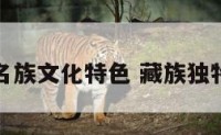 藏族名族文化特色 藏族独特文化