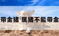 属猪不能带金猪 属猪不能带金猪饰品吗