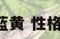 性格色彩测试蓝黄 性格色彩测试 蓝色