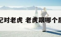 属相配对老虎 老虎跟哪个属相配