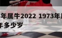 1973年属牛2022 1973年属牛2025年多少岁