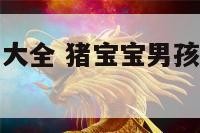 猪宝宝起名男大全 猪宝宝男孩取名吉祥字乳名