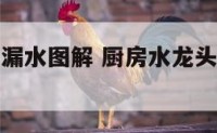厨房水龙头漏水图解 厨房水龙头漏水图解视频