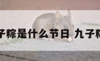 九子粽是什么节日 九子粽子