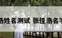 张嘉浩姓名测试 张佳浩名字好吗