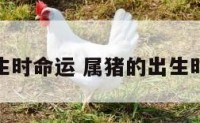 属猪的出生时命运 属猪的出生时命运如何