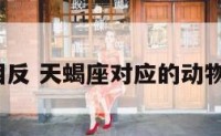 天蝎座相反 天蝎座对应的动物是什么?