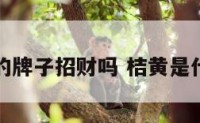 用桔黄的牌子招财吗 桔黄是什么意思