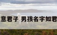 男孩名字寓意君子 男孩名字如君子温润如玉
