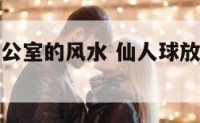 仙人球放办公室的风水 仙人球放在办公室有什么好处