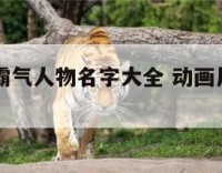动画片里霸气人物名字大全 动画片儿人物名字