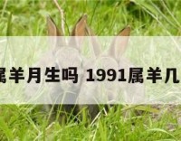 1991属羊月生吗 1991属羊几月生好