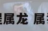 狗年运程属龙 属狗人龙年