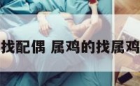 属鸡的找配偶 属鸡的找属鸡的婚姻