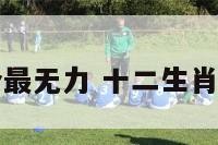 十二生肖哪个最无力 十二生肖中谁力大无穷