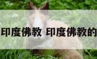 解梦印度佛教 印度佛教的概况