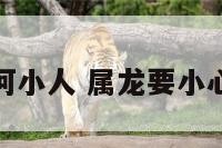 属龙的如何小人 属龙要小心什么小人
