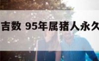 95年属猪吉数 95年属猪人永久吉利的数字