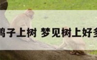 解梦鸭子上树 梦见树上好多鸭子