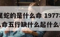 1977年属蛇的是什么命 1977年属蛇的是什么命五行缺什么起什么样的名字
