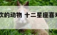 12星座喜欢的动物 十二星座喜欢的动物是什么