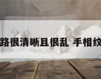手相纹路很清晰且很乱 手相纹理清晰