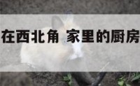 家里的厨房在西北角 家里的厨房在西北角好不好