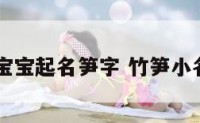 宝宝起名笋字 竹笋小名