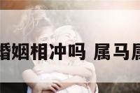 马属猴婚姻相冲吗 属马属猴婚配