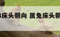 属兔2018床头朝向 属兔床头朝西北方向好不好