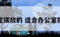 适合办公室摆放的 适合办公室摆放的瓷器