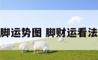 脚运势图 脚财运看法