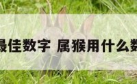 属猴最佳数字 属猴用什么数字好