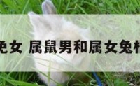 属鼠男鼠免女 属鼠男和属女兔相配夫妻吗