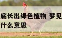 梦见别人床底长出绿色植物 梦见别人床底长出绿色植物什么意思