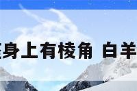 白羊座身上有棱角 白羊座身影