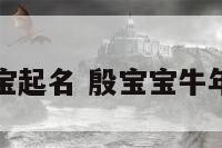 殷宝宝起名 殷宝宝牛年名字