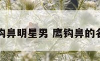 鹰钩鼻明星男 鹰钩鼻的名星