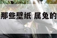 属兔吉祥手机那些壁纸 属兔的手机屏幸运图片