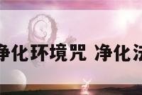 佛教快速净化环境咒 净化法器的咒语