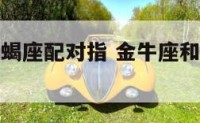 金牛座和天蝎座配对指 金牛座和天蝎座配对指数