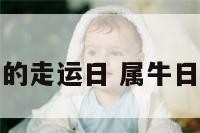 属牛的走运日 属牛日运势