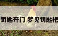 周公解梦钥匙开门 梦见钥匙把门打开了