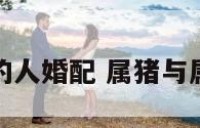 属猪属马的人婚配 属猪与属马的婚姻