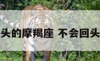 不会回头的摩羯座 不会回头的星座